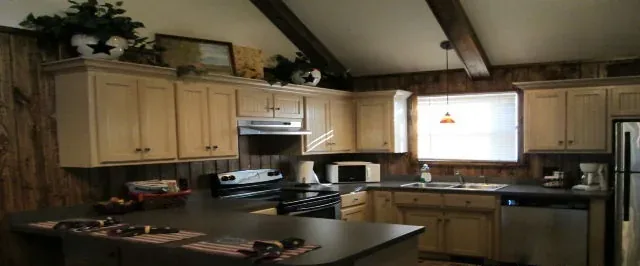 Cabin 10 kitchen