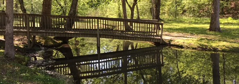 The wooden footbridge over the creek on the property