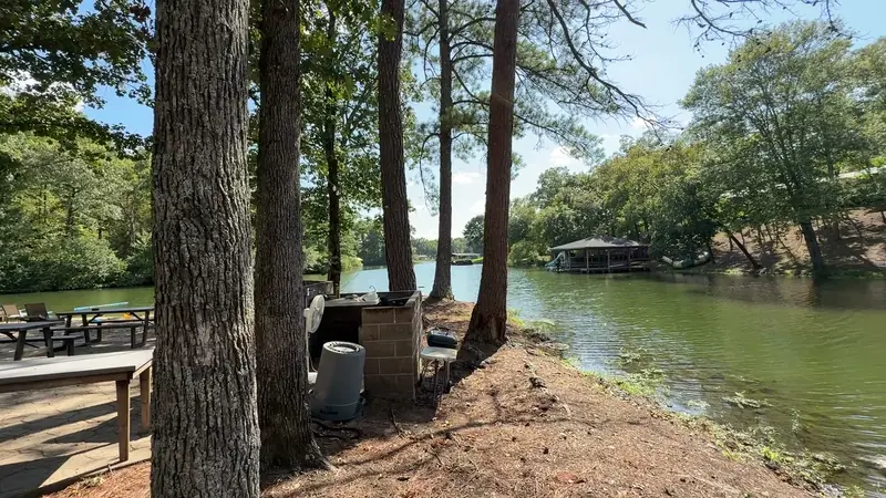 The cove through the trees at the water's edge