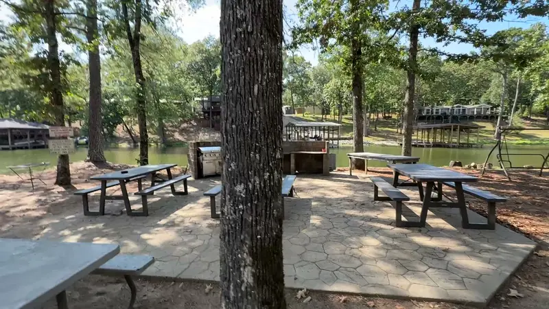 Picnic tables under the pines on the concrete patio