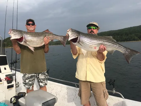Two anglers with large striped bass on the boat